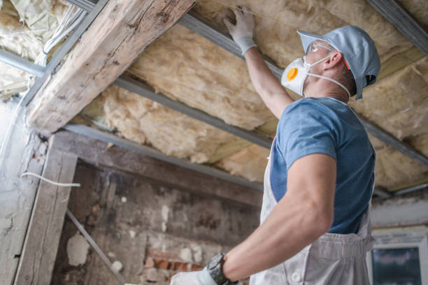 Best Specialized Insulation Services in Ramseur, NC